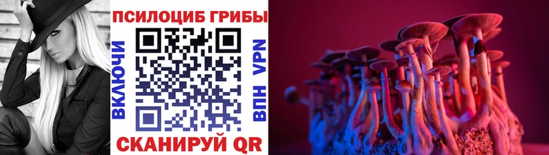 закладки  Тимашёвск  Галлюциногенные грибы Magic Shrooms 